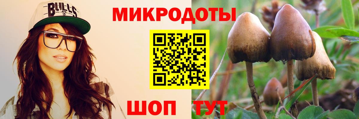 Южноуральск  Псилоцибиновые грибы GOLDEN TEACHER  Вход с VPN  Псилоцибиновые грибы ЛСД 